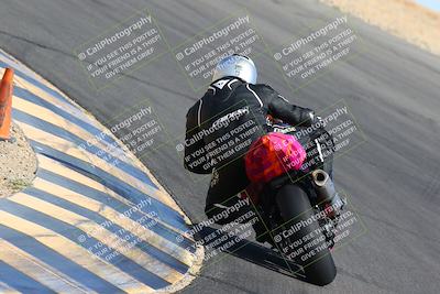 media/May-14-2022-SoCal Trackdays (Sat) [[7b6169074d]]/Turn 10 Backside (9am)/